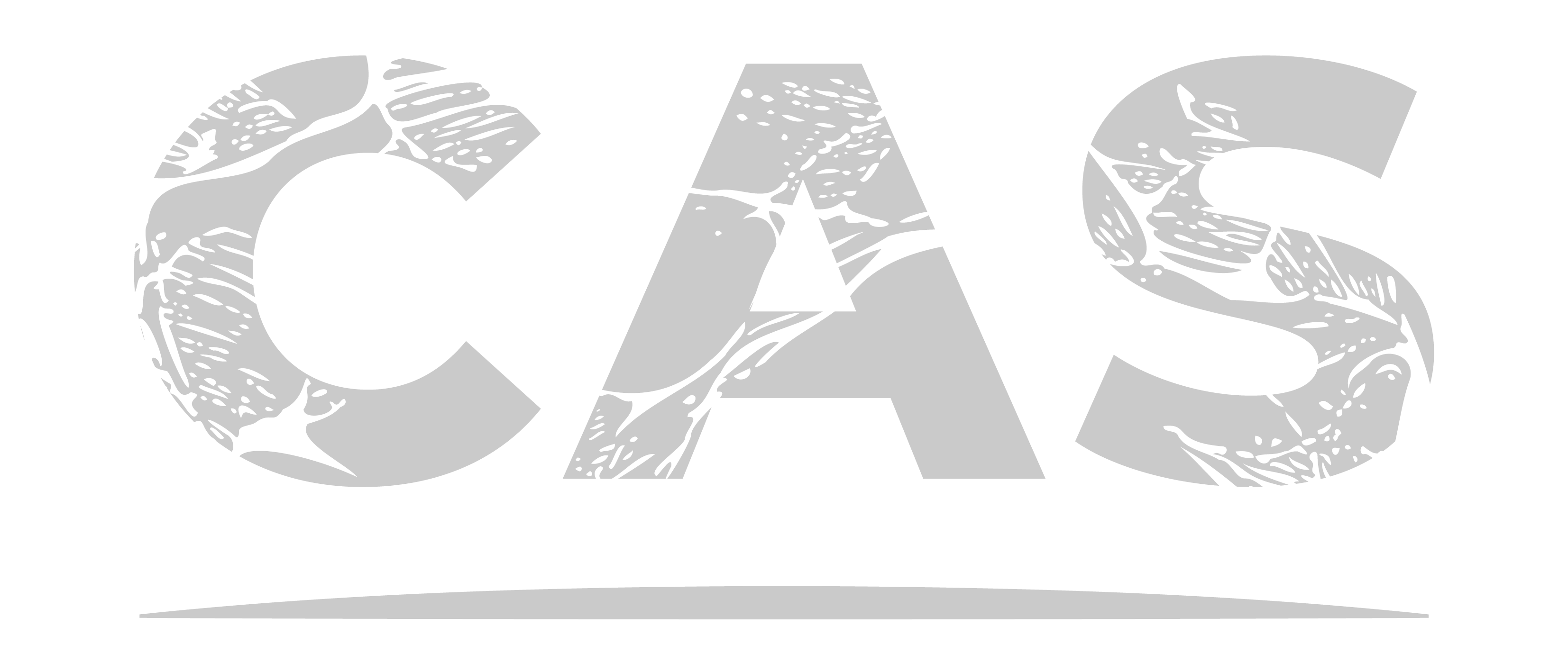 Logo CAS gris